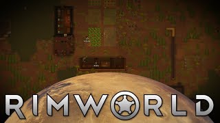 Megaspiders Starting Into RimWorld Ep 3 [upl. by Beaver]