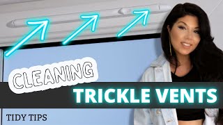 HOW TO CLEAN TRICKLE VENT CLEANING UPVC WINDOW VENTS  HAYLEYS TIDY TIPS [upl. by Studnia486]