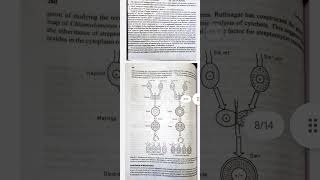 Streptomycin Resistance in Chlamydomonas  Extra chromosomal inheritance msc zoology genetics [upl. by Buddie611]