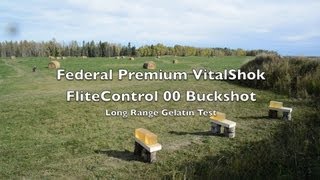 Long Range Shotgun Test 12 Gauge 00 Buckshot  FliteControl Federal Premium [upl. by Caras]