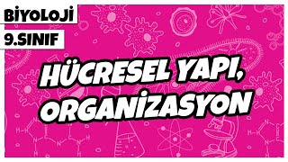 9 Sınıf Biyoloji  Hücresel Yapı Organizasyon  2022 [upl. by Tricia542]