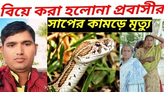 সাপের কামড়ে প্রাণ গেল প্রবাসীর  সাপ  রাসেল ভাইপার  Russells viper  Russell viper bite effect [upl. by Aer]