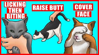 Real Meanings Behind 9 Strange Cat Behaviors Explained [upl. by Perren]