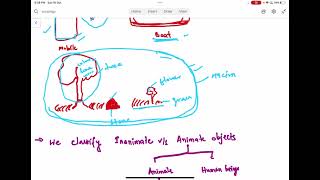 Phenomenology explained  phenomenological sociology  Husserl  Schutz [upl. by Auohs]