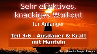 30 Minuten Ganzkörper Workout mit Hanteln  Muskelaufbau Extrem [upl. by Brigham99]