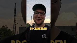 Brombeeren 🌿 garten9 kleingarten schrebergarten garten gartenarbeit YouTubeCreatorCommunity [upl. by Stan40]