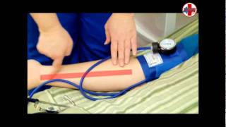 Instructional Video for Measuring Blood Pressure CNA Skill [upl. by Nylesoy279]