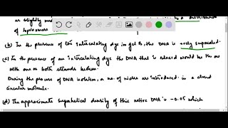 When DNA is subjected to electrophoresis in an agarose gel shorter molecules migrate faster than l… [upl. by Apurk636]