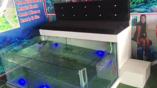 How To Start a Fish PedicureBusiness Fish Pedicure setup Best quality branded accessories 8447174348 [upl. by Nodnorb]