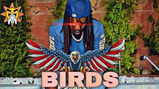 Chief Keef  BIRDS Almighty So 2With Lyrics [upl. by Lyrrad244]