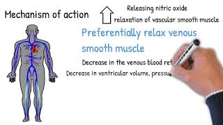 Nitroglycerin  antianginal drug indication adverse effects [upl. by Schulz]