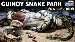 Guindy Snake Park  Radio City Velaikaaran [upl. by Scheer498]