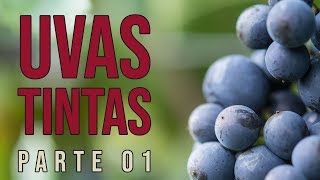 Principais Uvas Tintas de Vinho  Parte 01 [upl. by Litnahs]