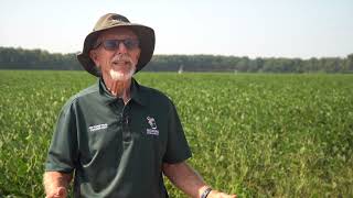 Don’t touch Sensors in soybeans fields saving yields limiting water use [upl. by Justino641]