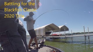 Battling for the Blackfish Classic 2020 Title on Lake Minnetonka [upl. by Thorvald]