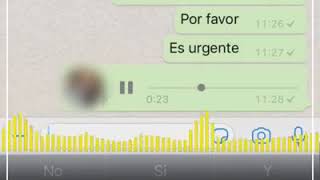 PAPÁ ENOJADO EN GRUPO DE WHATSAPP COMPLETO [upl. by Lenneuq]