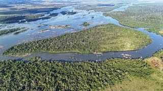 EM BUSCA DA NOSSA NOVILHA QUE CAIU NA ÁGUA E FOI PARA ILHA Dessa vez de Drone [upl. by Idona]