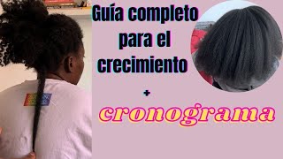 COMO HACER CRECER EL CABELLO afro  CRONOGRAMA CAPILAR  RUTINA PARA EL CRECIMIENTO DEL CABELLO AFRO [upl. by Assinna]