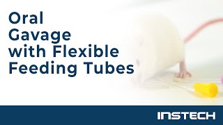 Oral Gavage with Flexible Feeding Tubes [upl. by Tammany]