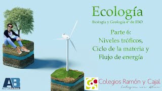 6Ecología Niveles tróficos Ciclo de materia y flujo de energía  Biología y Geología 4º de ESO [upl. by Danit]