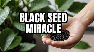 5 Evidencebased BENEFITS of Black Seed [upl. by Tahmosh]