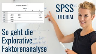 Herausheben gemeinsamer Faktoren [upl. by Saunderson]