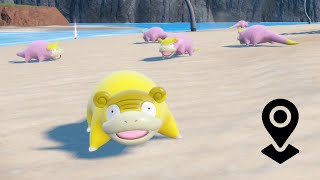 ✨ SLOWPOKE GALAR SHINY  UBICACIÓN PERFECTA ✨ Farmeo Sin Movernos DLC 2 [upl. by Nell377]