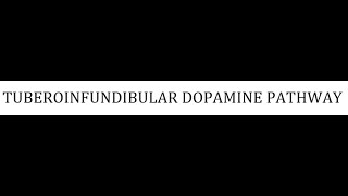 STAHLS  CH 4  PART 13  TUBEROINFUNDIBULAR DOPAMINE PATHWAY psychiatrypharmacology [upl. by Naujal435]