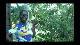 The Steets Have CodeJamaican Short Movies 2024 [upl. by Yntirb]