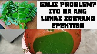 Problema sa galis Ng alaga napakadali Lang 12 weeks tangal galis tanggalgalis madredecacao [upl. by Vickie]