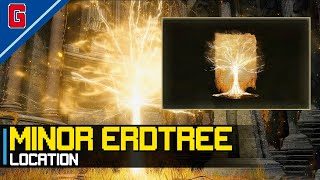 Elden Ring DLC  Minor Erdtree Incantation amp Golden Braid Talisman Location [upl. by Jamnis]