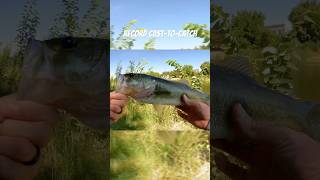 The fluke did the trick bass fishing outdoors summer catchandrelease [upl. by Nostaw]