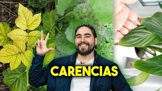 CONOCE LAS PRINCIPALES CARENCIAS EN LAS PLANTAS [upl. by Latricia]