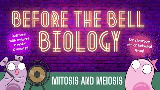 Mitosis and Meiosis Before the Bell Biology [upl. by Legnaleugim]