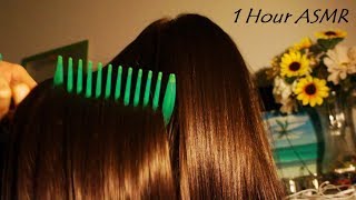 ASMR 1 Hour NightTime Hair Brushing w JUMBO Colorful Combs amp Brushes Scalp Scratching  Hairplay [upl. by Eirameinna]