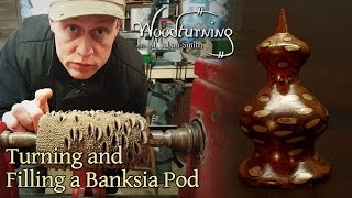 44 Woodturning a Banksia Pod Nut with Bronze Infill  Trypophobia [upl. by Anilasor]