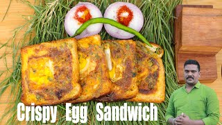 Village Style Sandwich  Most Amazing Crispy Sandwich  Bred Egg Sandwich  Trending egg Sandwich [upl. by Tnecnev]