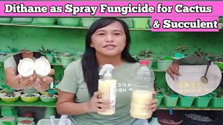 HOW TO MAKE DITHANE FUNGICIDE SPRAY [upl. by Alekahs852]