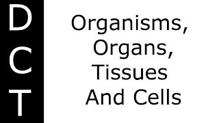 Organisms Organs Tissues And Cells KS3K711 Biology [upl. by Eniamat]