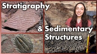 Stratigraphy and Sedimentary Structures  GEO GIRL [upl. by Melquist]