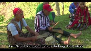 Natures Presences Music of the Indigenous Peoples of Southern Mindanao [upl. by Winona]