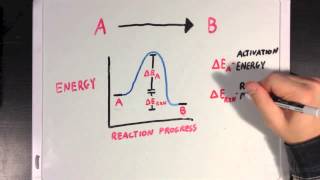 Enzymes and Activation Energy [upl. by Veedis]