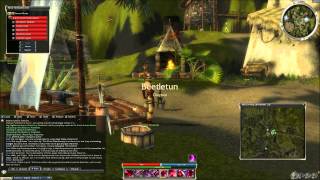 Guild Wars  War in Kryta Pt 9  Mustering a Response [upl. by Hamilton644]