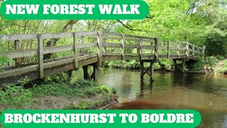 NEW FOREST WALK FROM BROCKENHURST TO BOLDRE AND BACK NEW FOREST NATIONAL PARK 4K [upl. by Chickie937]