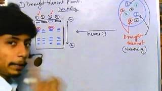 Marker assisted selection [upl. by Gibbons633]