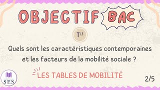 BAC Cours Mobilité Sociale  Les tables de mobilité [upl. by Dewey]