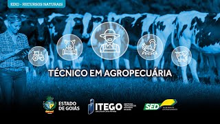 ENTREVISTA SOBRE AGROECOLOGIA [upl. by Olenka]