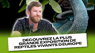 La plus grande exposition de reptiles vivants dEurope est à Sierre [upl. by Assiled]