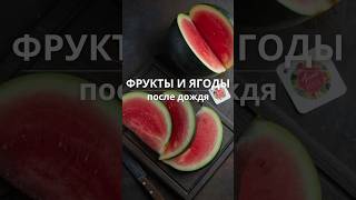 Фрукты и ягоды после дождя🌧️Часть 1 арбуз дыня ягода кукуруза [upl. by Ilatan]