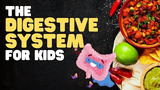 The Digestive System for Kids  A fun engaging overview of what happens when we eat [upl. by Noitsuj585]